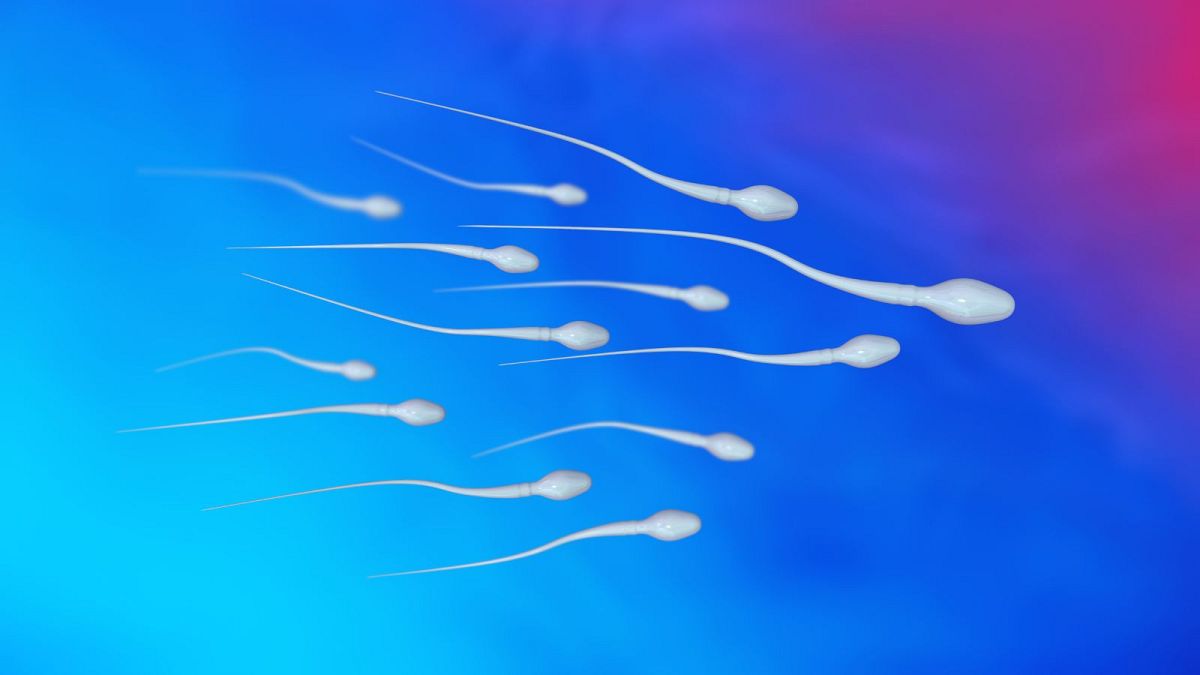 Research into falling sperm counts finds 'alarming' levels of chemicals in male urine samples