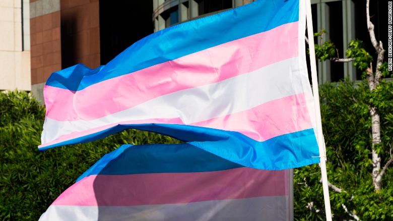 Trans pride flags flutter in the wind at a gathering to celebrate International Transgender Day of Visibility.