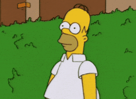 hide GIF hide GIF