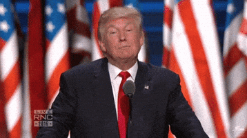Donald Trump Shrug GIF by Election 2016 Donald Trump Shrug GIF by Election 2016