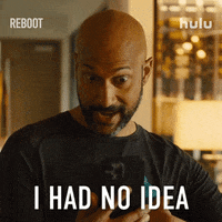 Tv Show Idk GIF by HULU Tv Show Idk GIF by HULU