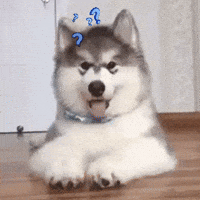 Puppy Reaction GIF by MOODMAN Puppy Reaction GIF by MOODMAN