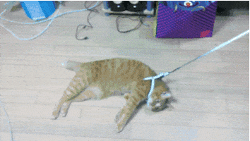 lazy don't care GIF lazy don't care GIF