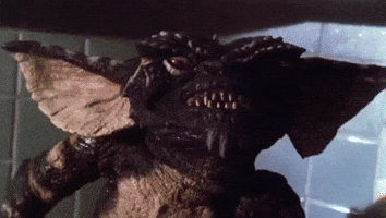 gremlins GIF gremlins GIF